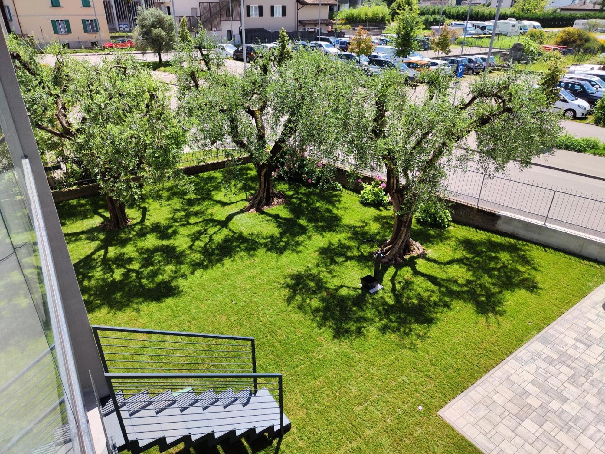 Oasi Degli Ulivi Appartement Riva del Garda Buitenkant foto
