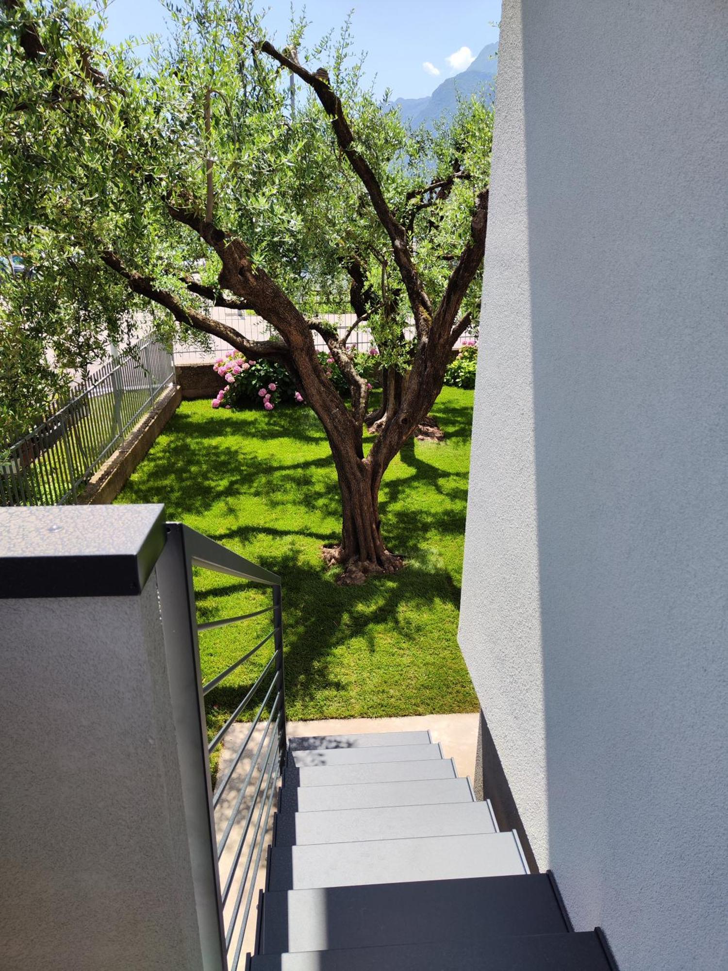 Oasi Degli Ulivi Appartement Riva del Garda Buitenkant foto