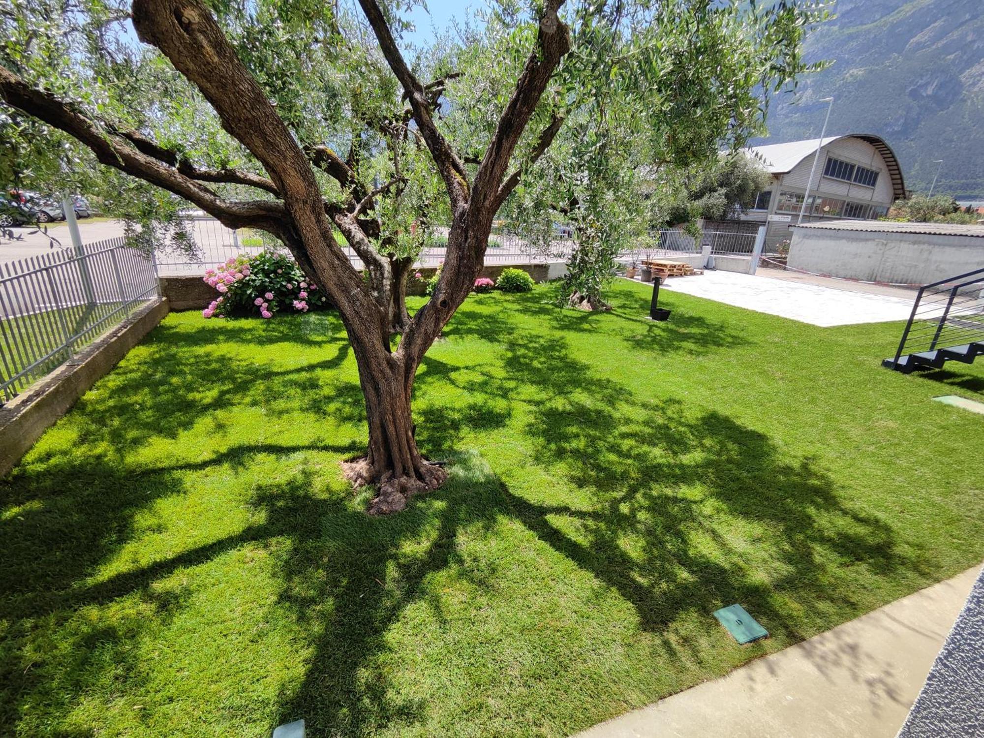 Oasi Degli Ulivi Appartement Riva del Garda Buitenkant foto