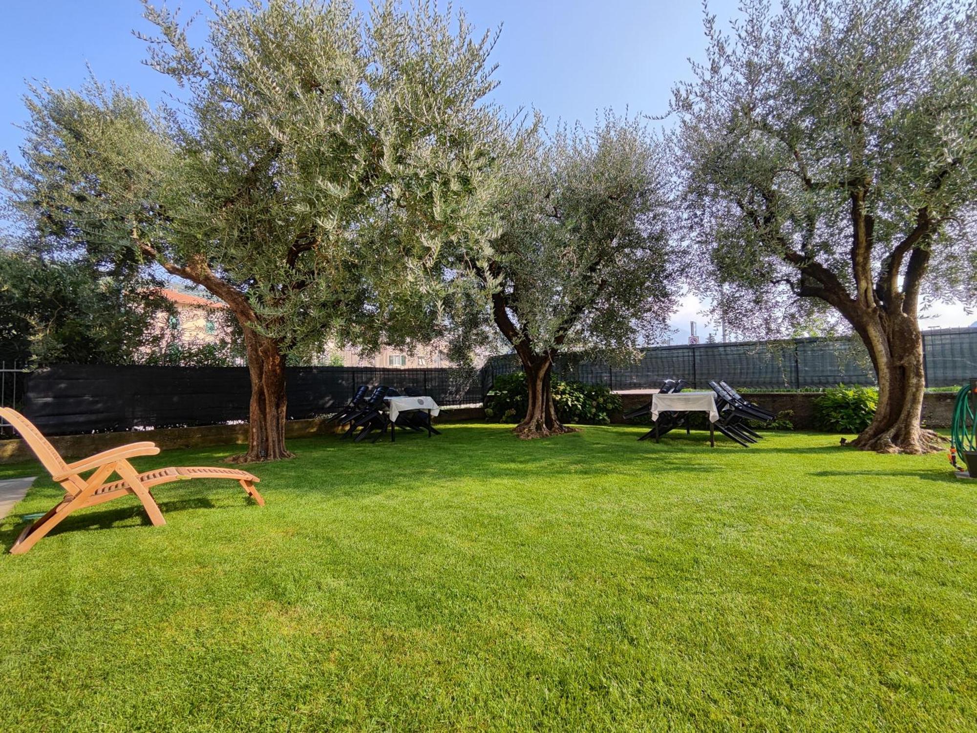 Oasi Degli Ulivi Appartement Riva del Garda Buitenkant foto