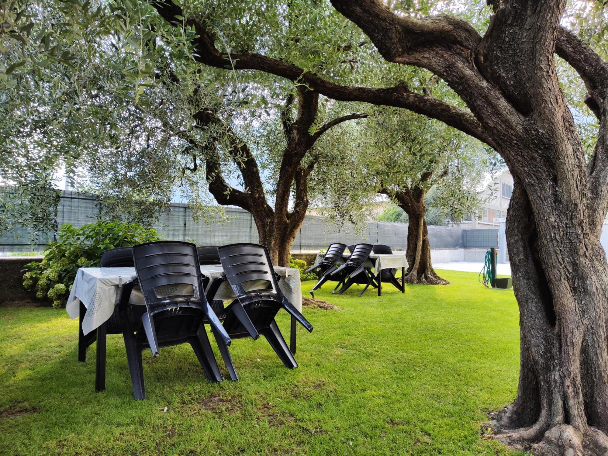 Oasi Degli Ulivi Appartement Riva del Garda Buitenkant foto
